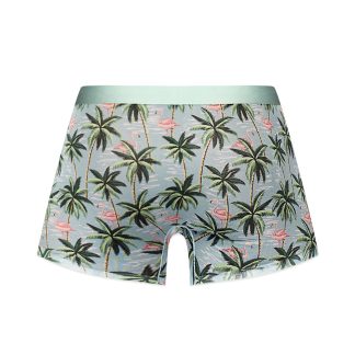 Sheer Prints - Seamless Sheer Short - Medium - Flamingo